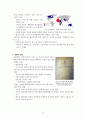 세계 1차 대전에 대한 정리 5페이지