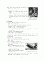 세계 1차 대전에 대한 정리 6페이지