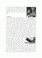 세계 1차 대전에 대해서 6페이지