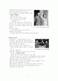 국공 내전에 대해 4페이지