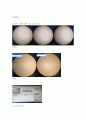 바이러스학 실험 결과보고서 Cell harvest & Protein sampling 2페이지