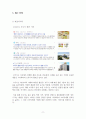 오뚜기 카레 IMC 전략 분석 및 방향성 제시_레포트월드 13페이지
