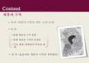 지방자치행정 계층과 구역 파워포인트 2페이지