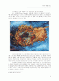 영화  전문적인 리뷰-회화 작품 분석 포함 9페이지