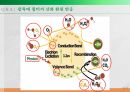 Air Filter 에어필터 발표자료(S급) 22페이지