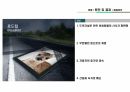 로드킬 발표자료(S급) 4페이지