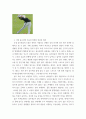 골프 ) 1 골프 기본 동작 7가지 사진 첨부 올리기 2 국내 골프산업 흐름과 미래의 진단과 예측 3 현대사회와 골프의 연관성 3페이지