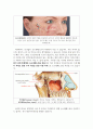  비충혈제거제 - 슈도에페드린(pseudoephedrine) 5페이지