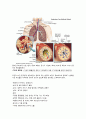 성인간호학 Bronchial Asthma (기관지천식) 4페이지