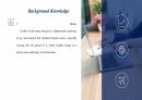 토니모리슨의 소설 “가장 푸른 눈” The Bluest Eyes Beauty Standards 미의 기준에 대하여 ppt 8페이지