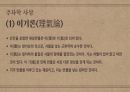 주자학과 양명학 비교 PPT 5페이지