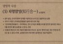 주자학과 양명학 비교 PPT 17페이지