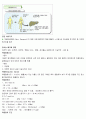 환경과웰빙 A+ 시험문제 및 답안 총정리 27페이지