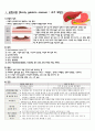 성인간호학 조기위암 CASE STUDY(간호과정 3개)A+ 3페이지