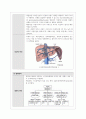간호학과 케이스스터디 간경화증(간경변증) Liver Cirrhosis 7페이지