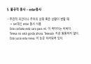 스페인어 동사 표현 13페이지