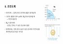 전자기 유도ppt 31페이지
