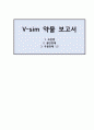 브이심에 나오는 약물 보고서 1페이지