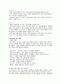 심리검사 보고서 12페이지
