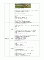 지역사회 건강증진사업분석보고서 5페이지
