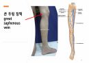 해부학 하지 (조별PPT) A+ 16페이지