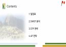관광마케팅 과제 - 테마 여행상품 마케팅 페루의 문화 유산여행 2페이지