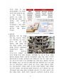 튀르키예 지진현황, 피해 그리고 대책 [터키,지진,내진설계,지진발생,단층] 5페이지