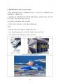 보고서LOTTE  WORLD TOWER REPORT 10페이지
