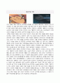 방송통신대_대중영화의이해_장르영화와 독립영화에 대한 설명 및 장단점 자연언어와 영화언어의 유사성 및 차이점 영화 속 특정 장면에서 주요한 형식적 특징을 찾아내고 전달하는 의미에 대한 분석 5페이지