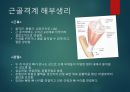 상급건강사정 근골격계 3페이지