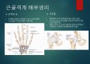상급건강사정 근골격계 8페이지