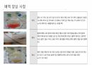각종배액관관리(헤모박,체스트튜브,PCD,Paracentesis,Ostomy) 4페이지