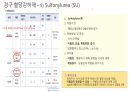 당뇨와 입원환자의 치료 52페이지