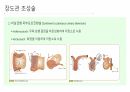요로전환술 및 요루간호 39페이지