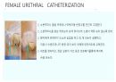 요로전환술 및 요루간호 68페이지