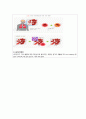정말 상세한 통합실습 COPD 케이스 스터디입니다. 진단3개 과정3개 5페이지