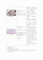 교수님께 칭찬받은 A+ 조현병 (schizophrenia) 케이스입니다. 진단 3개 과정 3개 17페이지