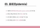 건강사정 - 피부계통 PPT 자료 A+ 6페이지