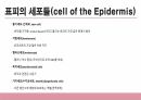 건강사정 - 피부계통 PPT 자료 A+ 7페이지