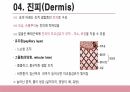 건강사정 - 피부계통 PPT 자료 A+ 9페이지