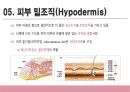 건강사정 - 피부계통 PPT 자료 A+ 10페이지