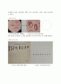 염색체 관찰과 핵형 분석 레포트 9페이지