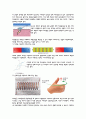 A+ 탐상시험 레포트 3페이지