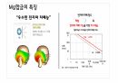 마그네슘 기획서 PPT 14페이지