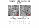 마그네슘 기획서 PPT 16페이지