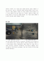 Black Box Experiment 레포트 3페이지