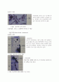 식물의 다양성:선태/양치식물 레포트 9페이지