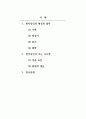 한자상인_글로벌경영학과 한자상인의 형성과 몰락, 한자상인이 주는 시사점 2페이지
