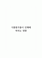 식품첨가물이 인체에 미치는 영향 1페이지
