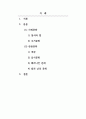 아시아문화탐구-싱가포르의 사회문화와 관광문화의 특징을 분석 2페이지